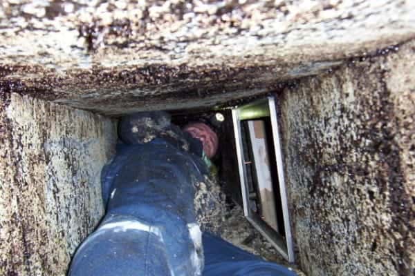 Our Work in Action — commercial kitchen exhaust hood cleaning, photo 11 of 101