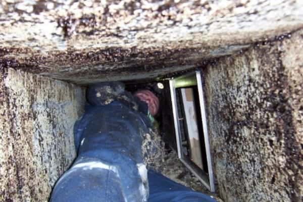 Our Work in Action — commercial kitchen exhaust hood cleaning, photo 23 of 101