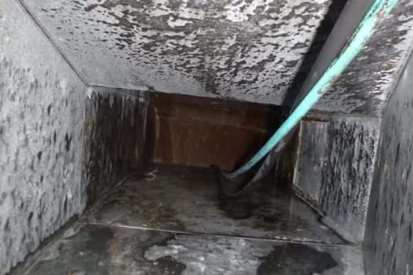 Our Work in Action — commercial kitchen exhaust hood cleaning, photo 44 of 101