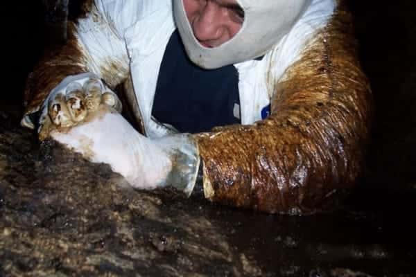 Our Work in Action — commercial kitchen exhaust hood cleaning, photo 6 of 101