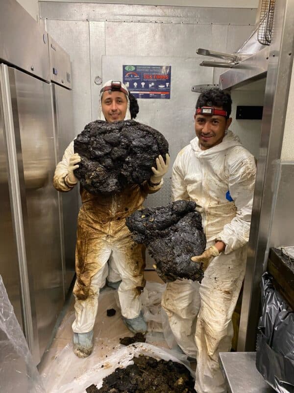 Grease removed from a kitchen exhaust hood