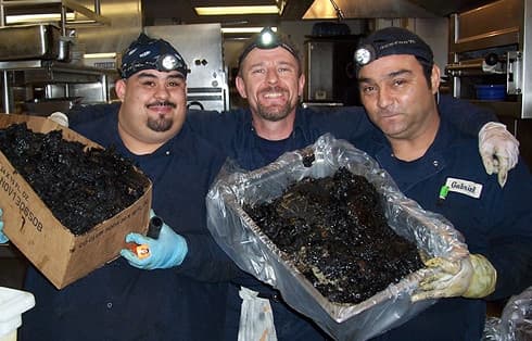 Bryan Exhaust crew with trays of grease removed from a kitchen exhaust system